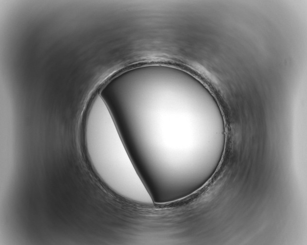 X0000096681269200802051022