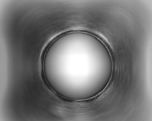 X0000096681270200802051022
