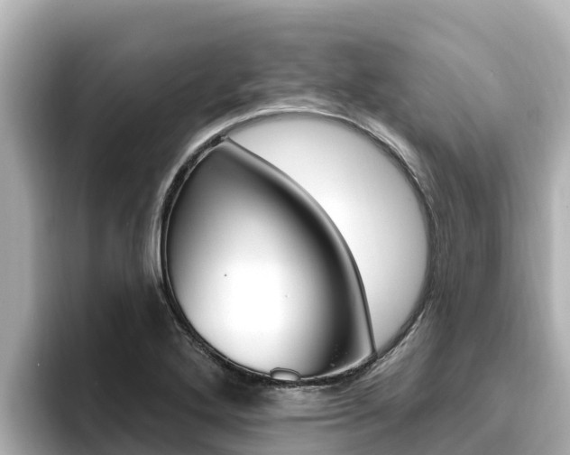 X0000096681272200802051022