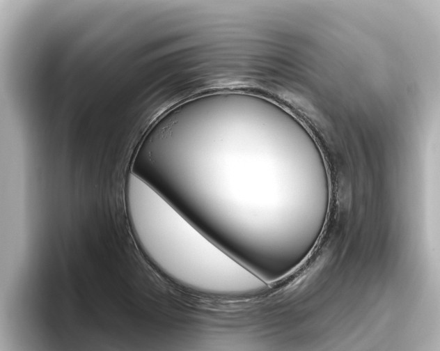 X0000096681273200802051022