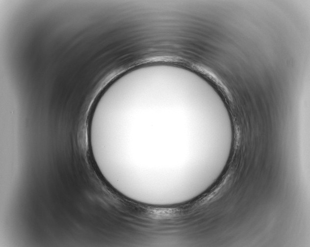 X0000096681274200802051022