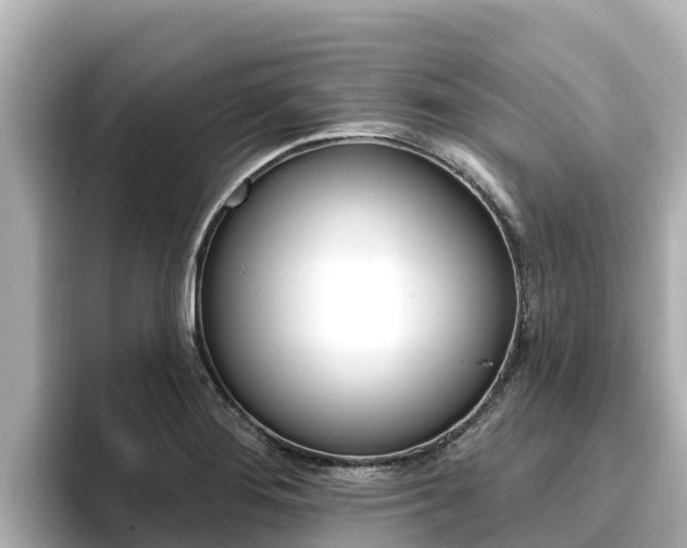X0000096681276200802051022