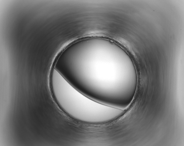 X0000096681277200802051022