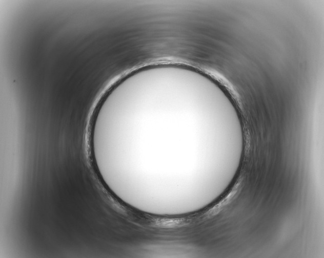 X0000096681278200802051022