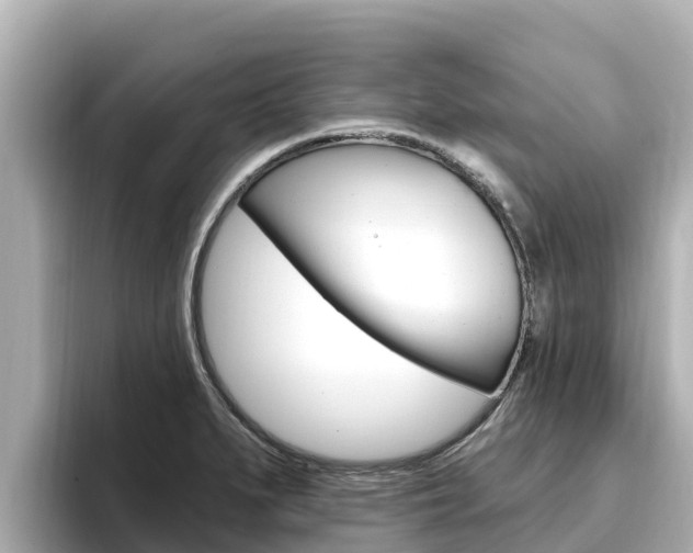 X0000096681279200802051022