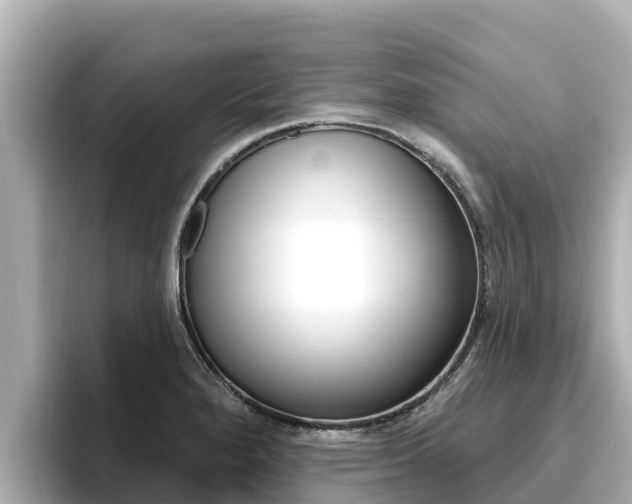 X0000096681280200802051022