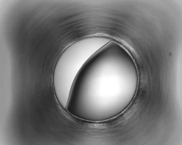 X0000096681281200802051022