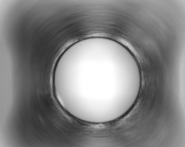 X0000096681282200802051022