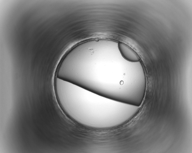 X0000096681283200802051022