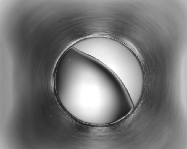 X0000096681284200802051022