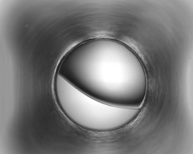 X0000096681285200802051022