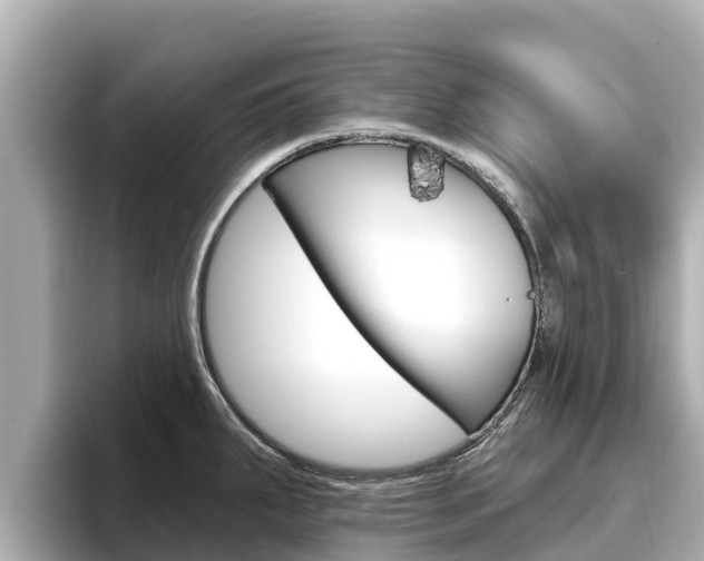 X0000096681287200802051022
