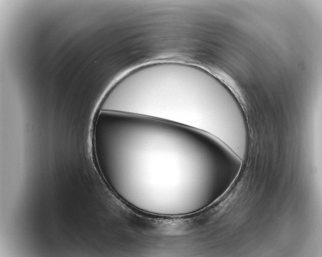 X0000096681288200802051022