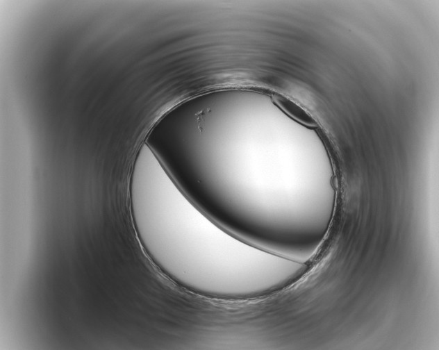 X0000096681289200802051022