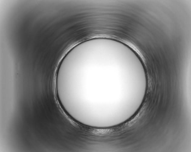 X0000096681290200802051022