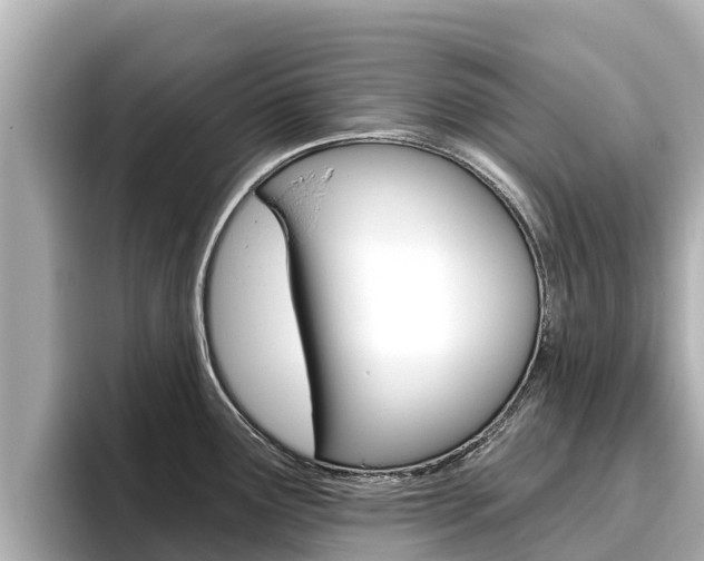 X0000096681291200802051022