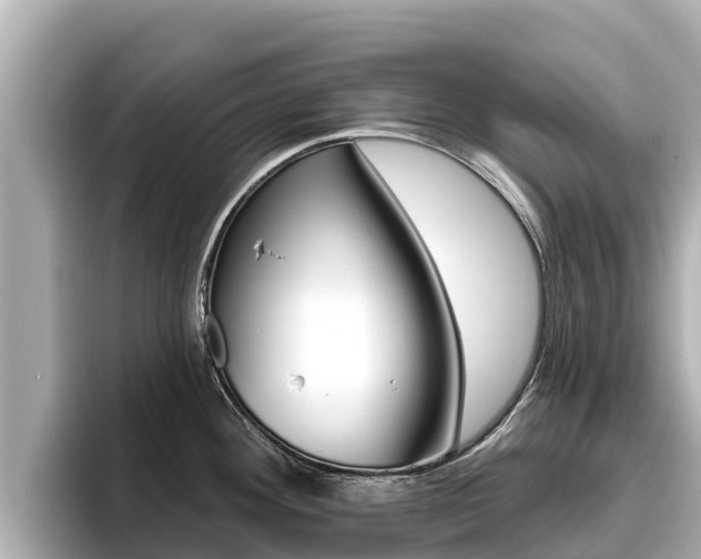 X0000096681292200802051022