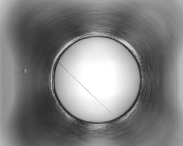 X0000096681294200802051022