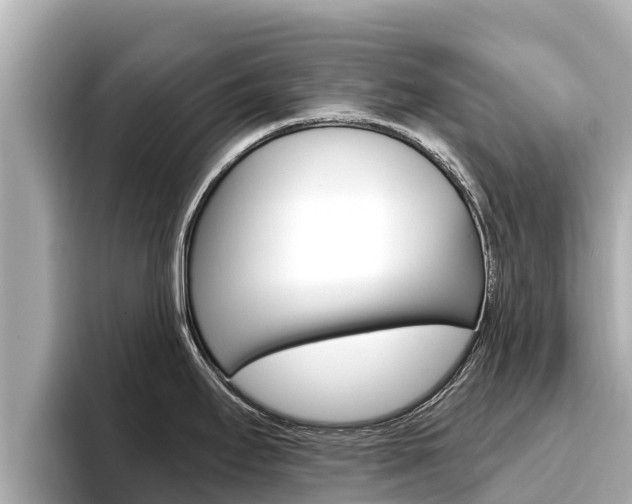 X0000096681295200802051022