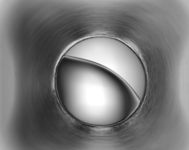 X0000096681296200802051022