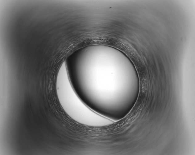 X0000096681298200802051022