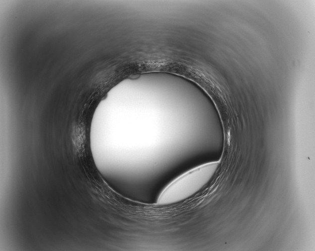 X0000096681299200802051022