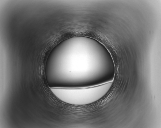 X0000096681300200802051022