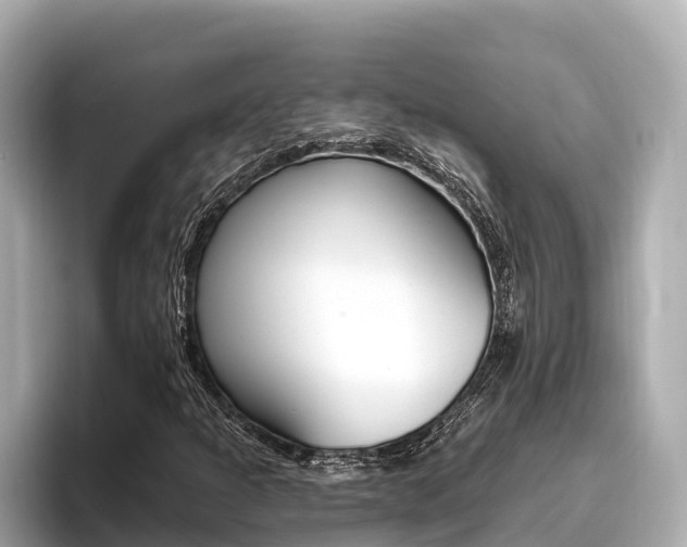 X0000096681301200802051022