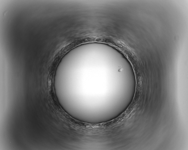 X0000096681302200802051022