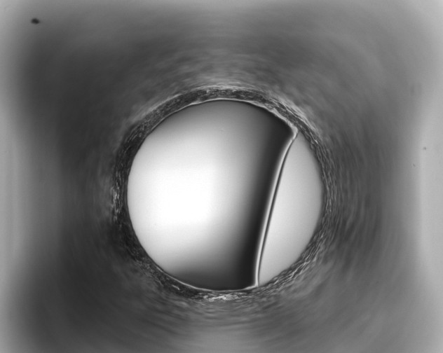 X0000096681303200802051022