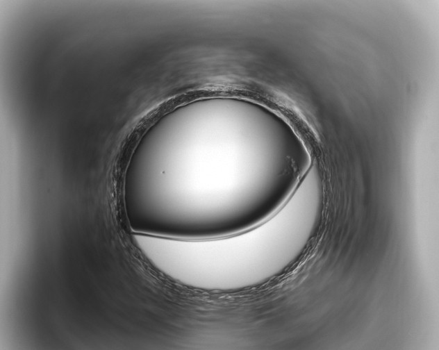 X0000096681304200802051022