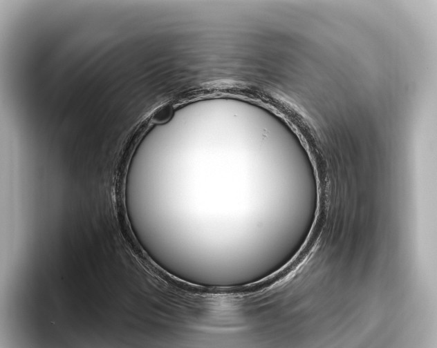 X0000096681305200802051022