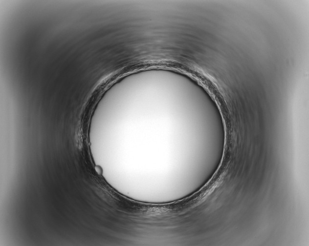 X0000096681306200802051022