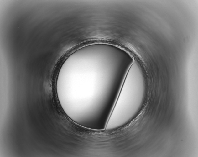 X0000096681307200802051022