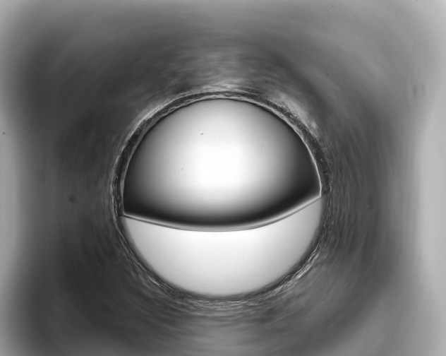 X0000096681308200802051022