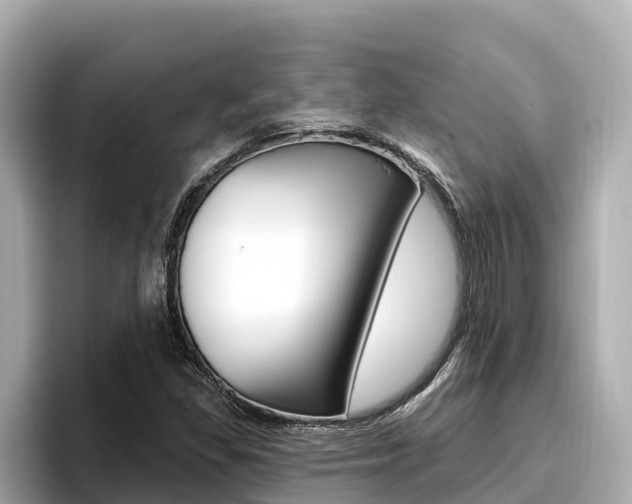X0000096681309200802051022