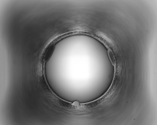 X0000096681310200802051022