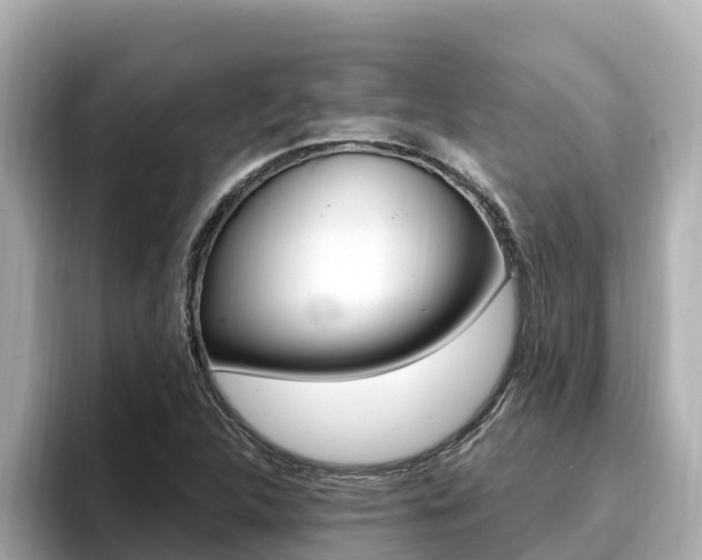 X0000096681312200802051022