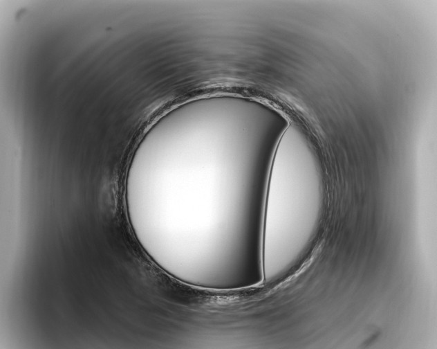 X0000096681313200802051022