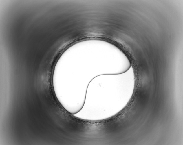 X0000096681314200802051022