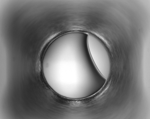 X0000096681317200802051022