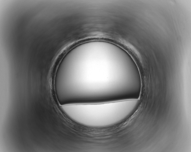 X0000096681318200802051022