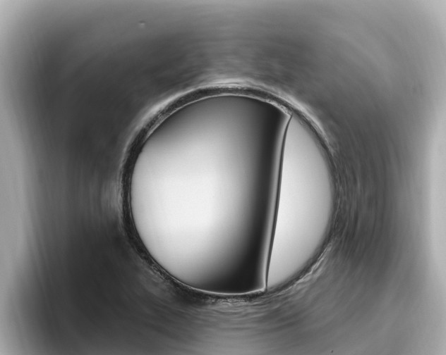 X0000096681319200802051022