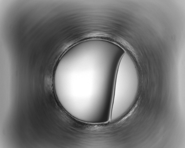 X0000096681321200802051022