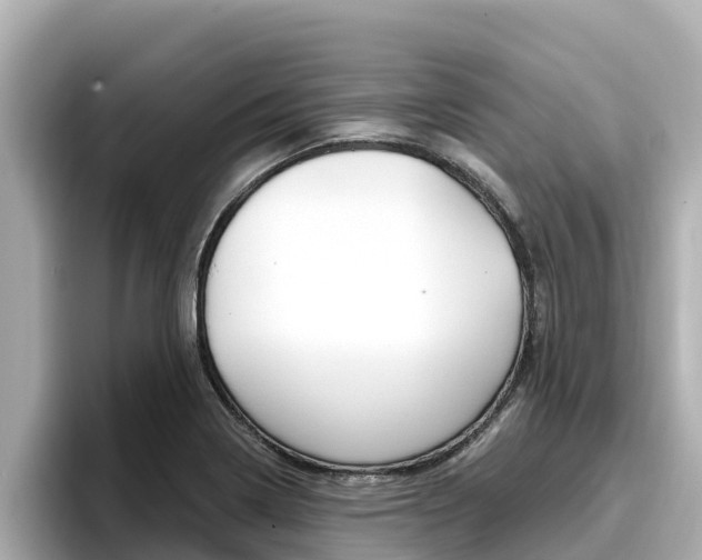 X0000096681322200802051022