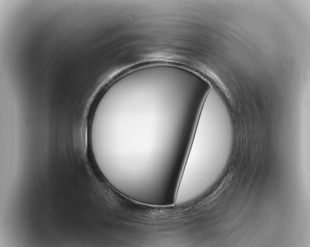 X0000096681323200802051022