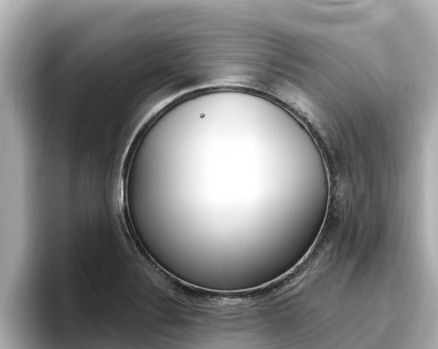 X0000096681324200802051022