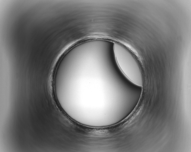 X0000096681325200802051022