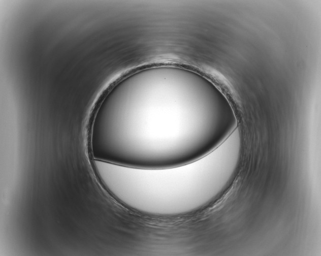 X0000096681326200802051022