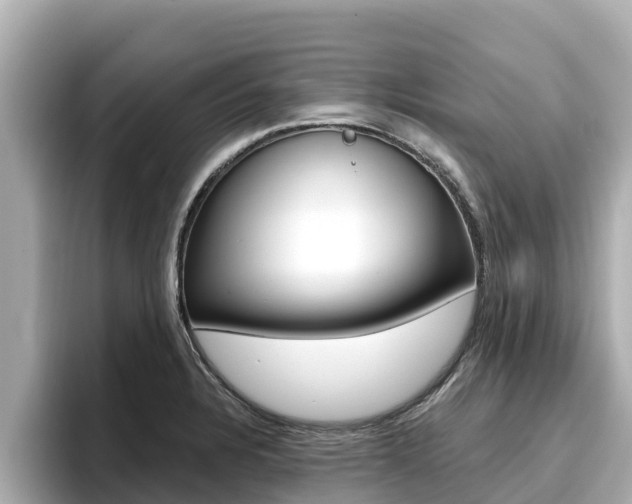 X0000096681328200802051022